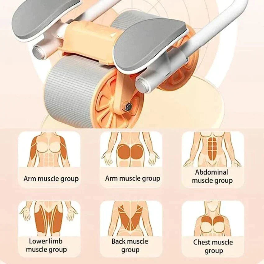 بكرة تمارين البطن